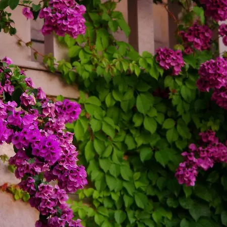 Apartmán Large And Charming Near With Big & Sunny Terrace