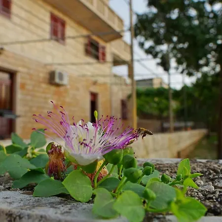 Large And Charming Near With Big & Sunny Terrace Apartmán *