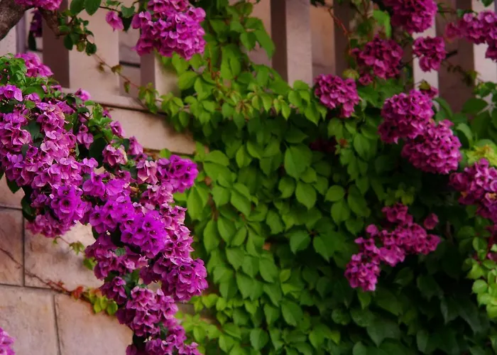 Lejlighed Large And Charming Near With Big & Sunny Terrace