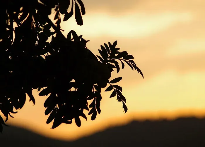 Large And Charming Near With Big & Sunny Terrace Lejlighed *