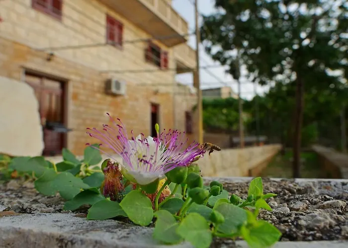 Large And Charming Near With Big & Sunny Terrace Lejlighed *